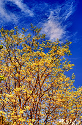 Similar image 682899