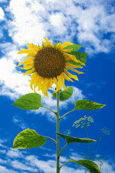 Similar image 682901