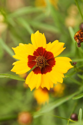 Similar image 682906