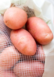 Similar image 682920