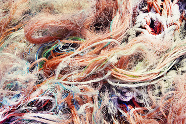 Similar image 682922