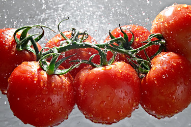 Similar image 682928