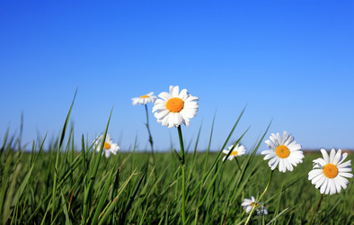 Similar image 682998