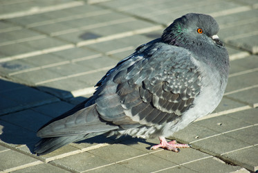 Similar image 683095