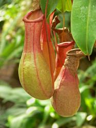 Similar image 683098