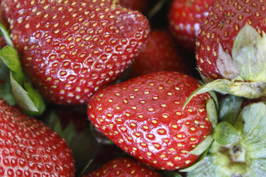 Similar image 683104