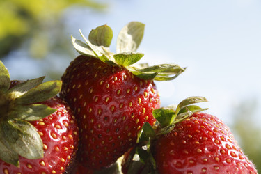 Similar image 683112