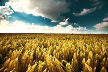 Similar image 683157