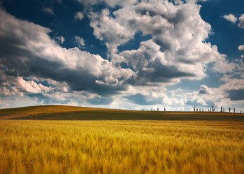 Similar image 683158