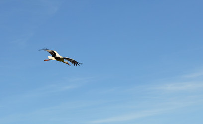 Similar image 683172