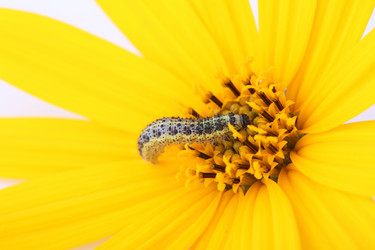 Similar image 683178