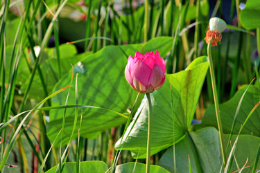 Similar image 683224