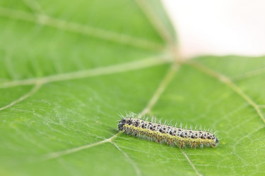 Similar image 683228