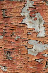 Similar image 683257