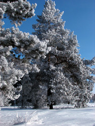 Similar image 683298