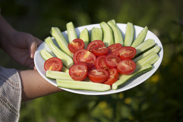 Similar image 683411