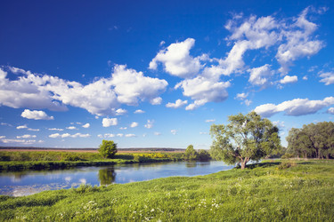 Similar image 683419