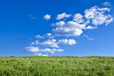 Similar image 683423