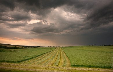 Similar image 683428