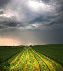 Similar image 683429