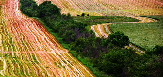 Similar image 683430