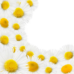 Similar image 683444