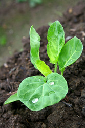 Similar image 683494