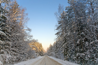 Similar image 683499