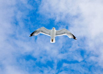 Similar image 683542