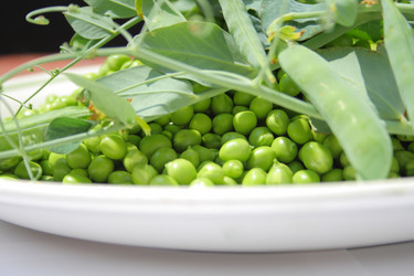 Similar image 683555