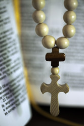 Similar image 683583