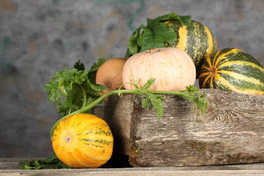 Similar image 683597