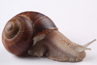 Similar image 683599