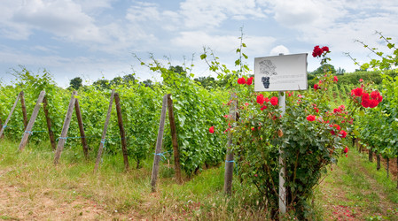 Similar image 683631