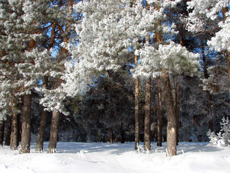 Similar image 683644