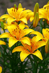 Similar image 683703