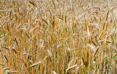 Similar image 683808