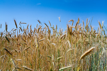 Similar image 683809