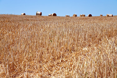 Similar image 683816