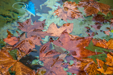 Similar image 683818