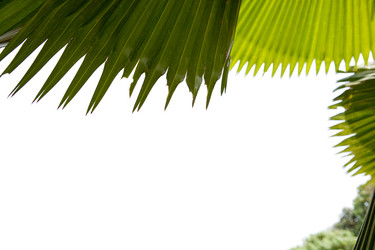 Similar image 683842