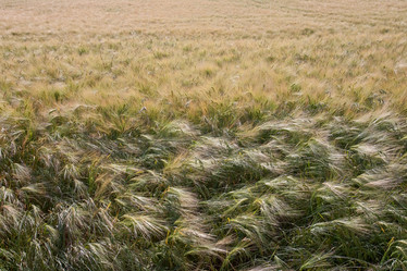 Similar image 683854