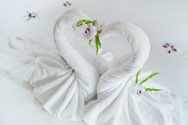 Similar image 683911