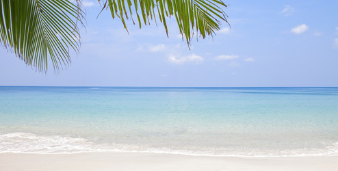 Similar image 683926