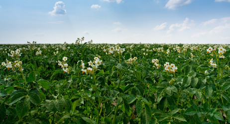 Similar image 683959