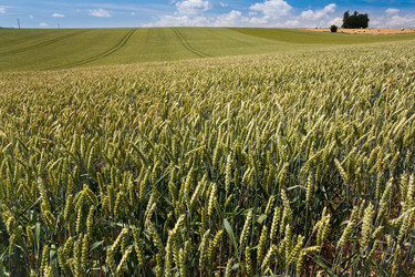 Similar image 683964