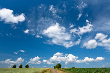 Similar image 683975