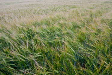 Similar image 683980