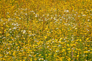 Similar image 683986