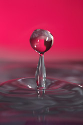 Similar image 684007